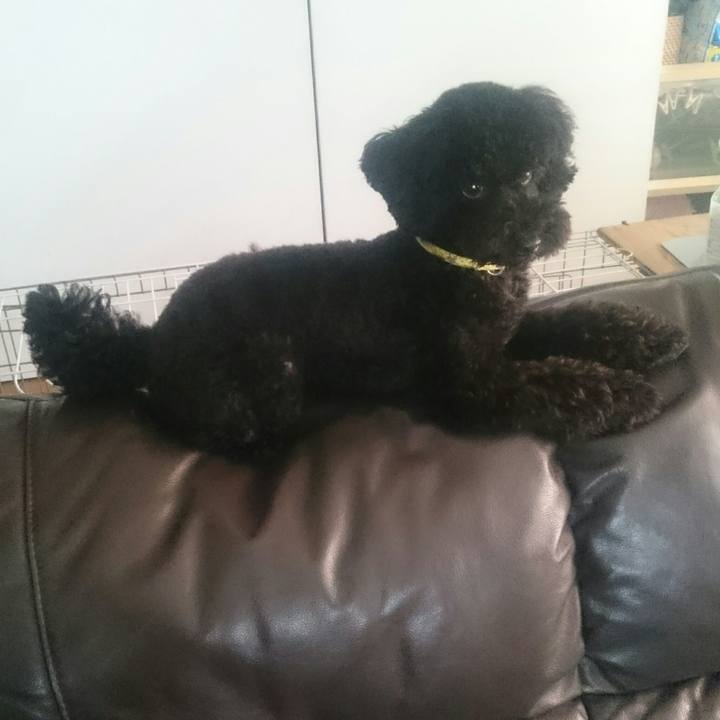 37a7e22a 1e0d 4370 a37a 37d6a796a18e