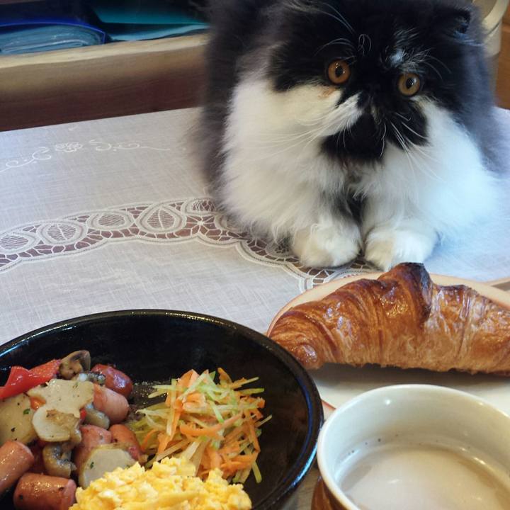 37a87a11 a921 4499 b5d5 f804d7946a26