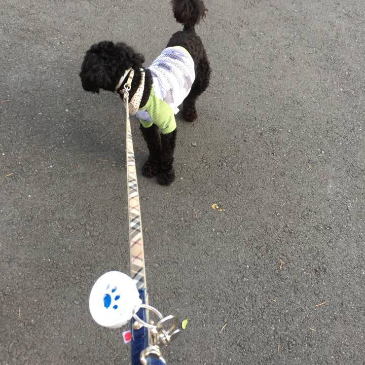 37a88d3d 3643 4777 91f8 2a3b893367e4