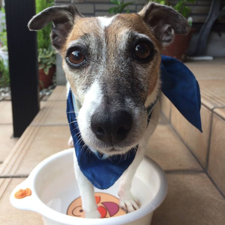 37a92961 599c 45ce a545 61c9d365b4f5