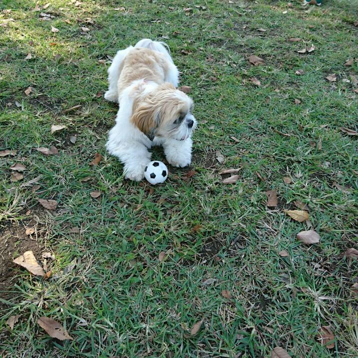 37a98ce4 623f 4948 890e 1ebd1ea4bb87