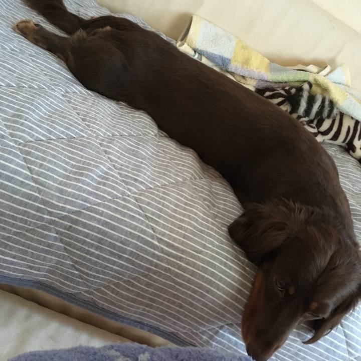 37aa3091 6846 49c9 866c 437ee4b89a11