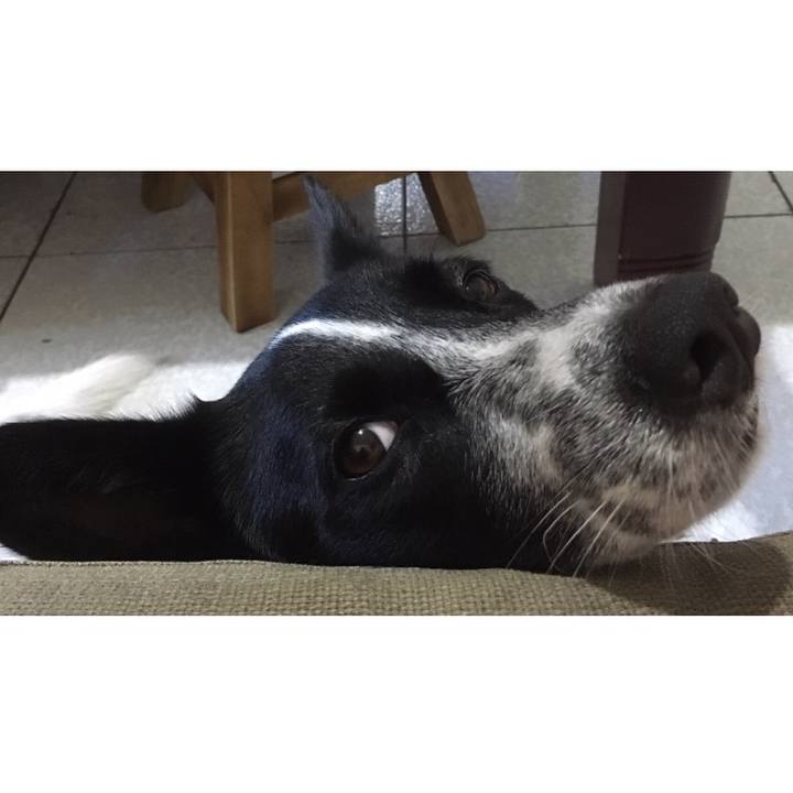 37aa8a11 9dcb 4938 a827 18d9be0a1016