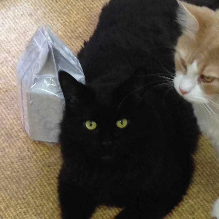 37abcf92 03aa 4dc2 9a17 0bfe772e4c34