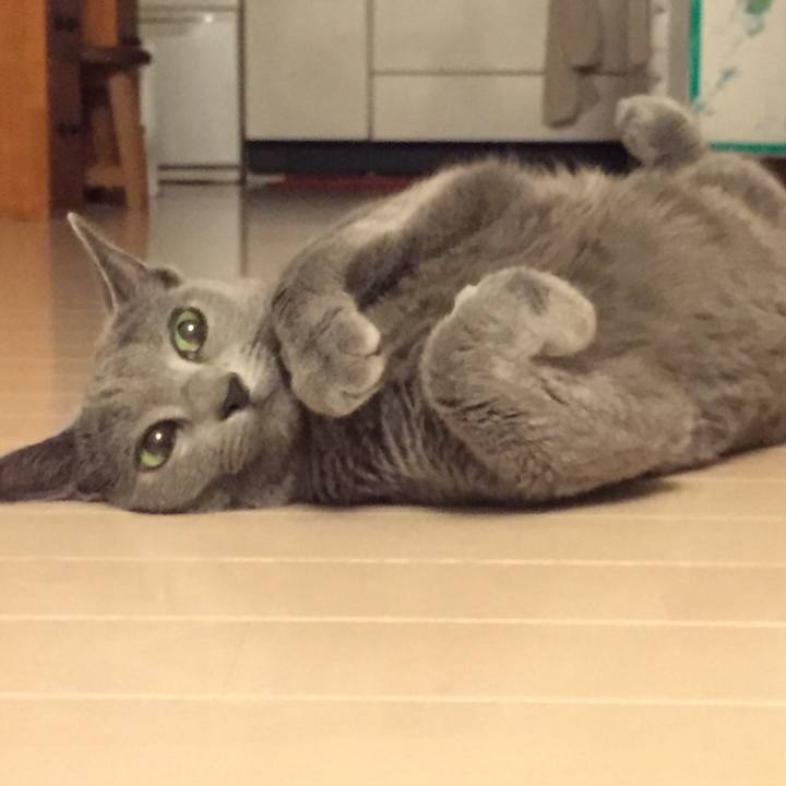 37ac6fbe 92e4 4abc a935 212cb3243870