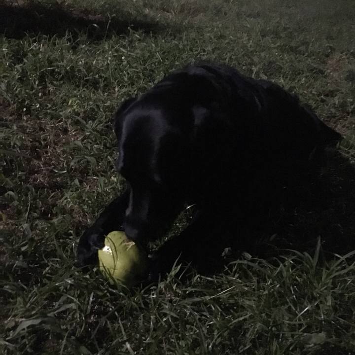 37ad849c 62d0 4189 8964 a3a3bb944ead