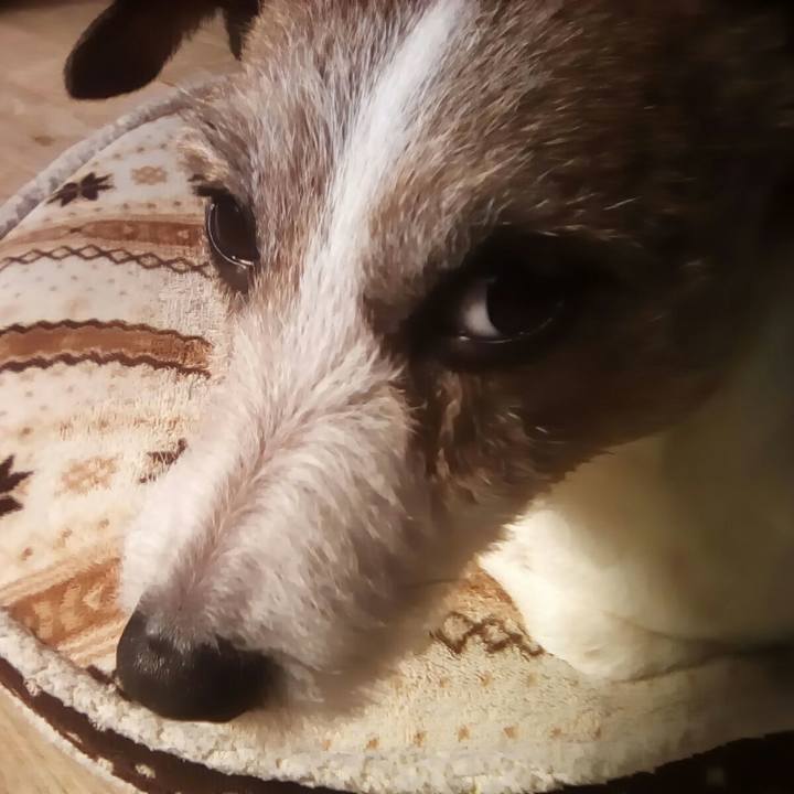 37adbd24 5652 435f 88e2 53314caf54df