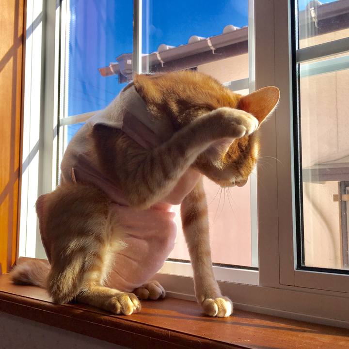 37adc55d 1eec 435f 9cf2 04006d08cd86