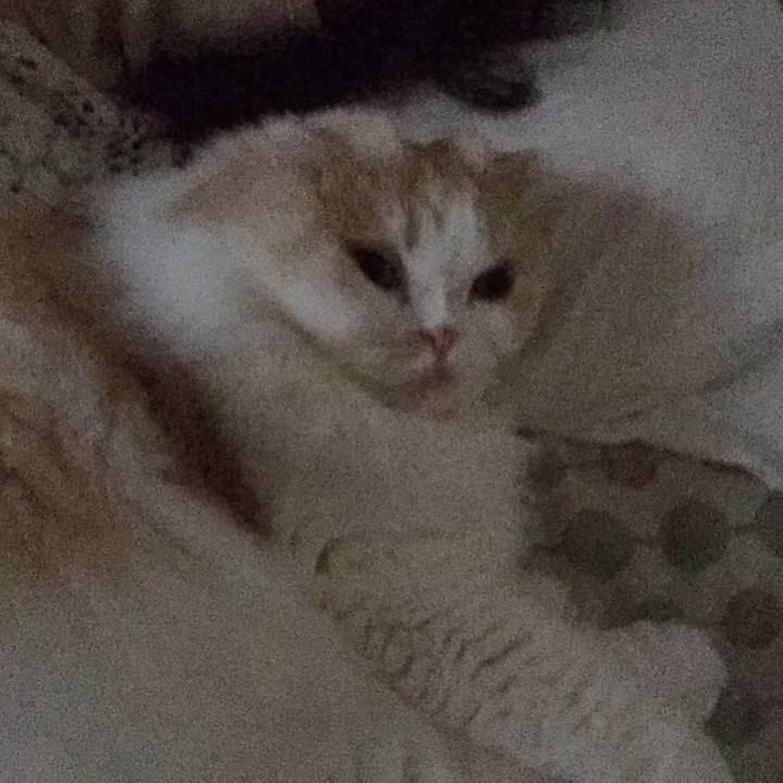 37adce9e c731 4000 914d c0c7f8b80b89