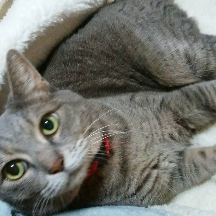 37aead42 ab8a 48ce b3f4 daddbd2b42e1