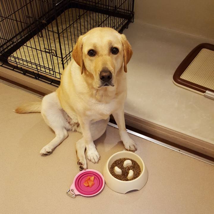 37aee4ee c2b1 4f38 b8ef 52bdf7cc305b