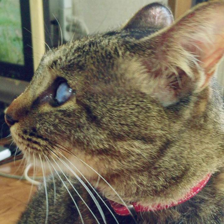 37af55be 73c9 4a6c b922 5bc2a91566cd