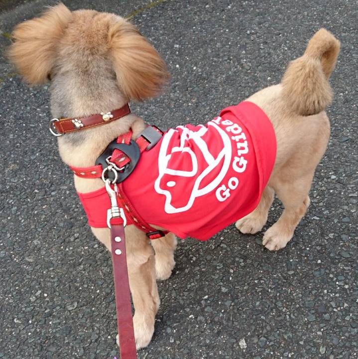 37af75a1 a317 41bb bdff ae1ea741603f