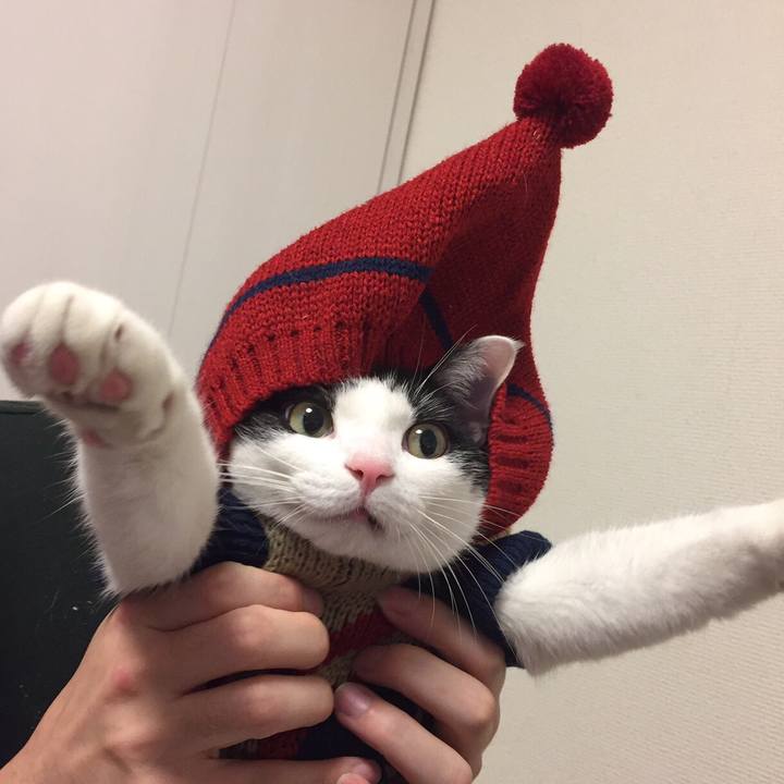 37afbf78 e53f 4ed4 b34f 191949d2a7d4