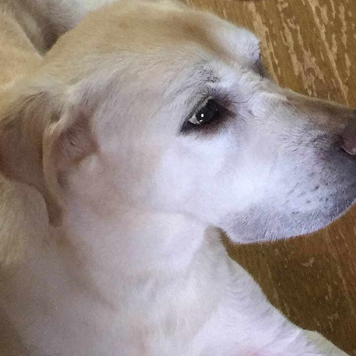 37b006e4 a416 404c a2e8 27099d528492