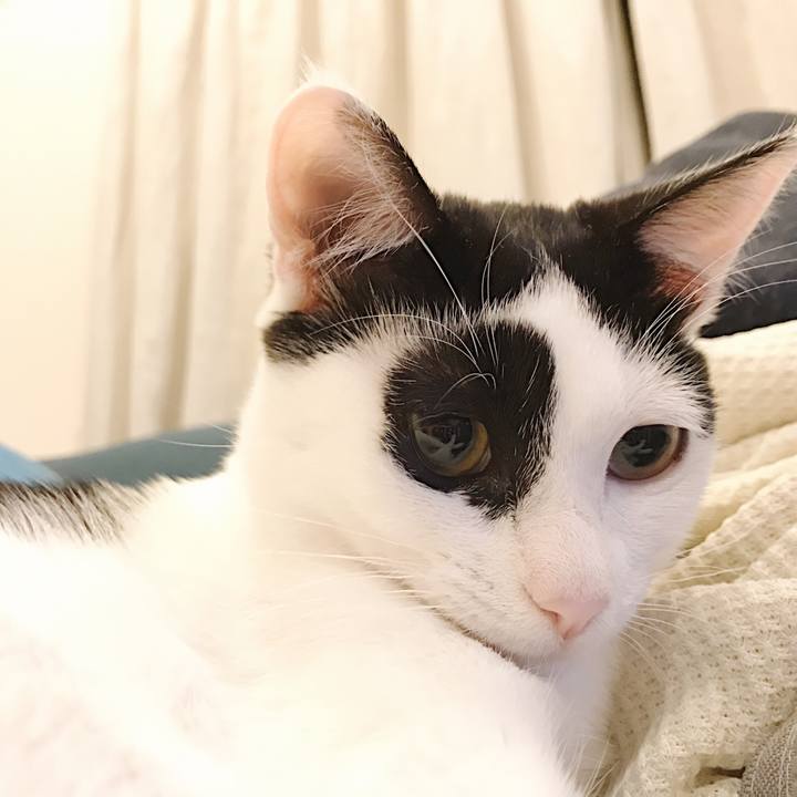 37b01eef 0ec0 47d6 9a99 b9a03194e131