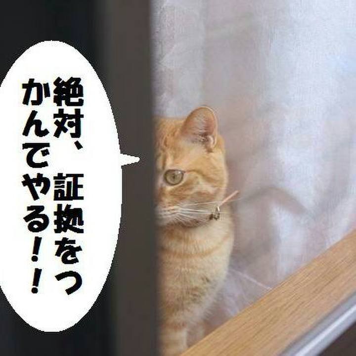 37b03d0d 62d7 4b32 9930 07ee9412c489