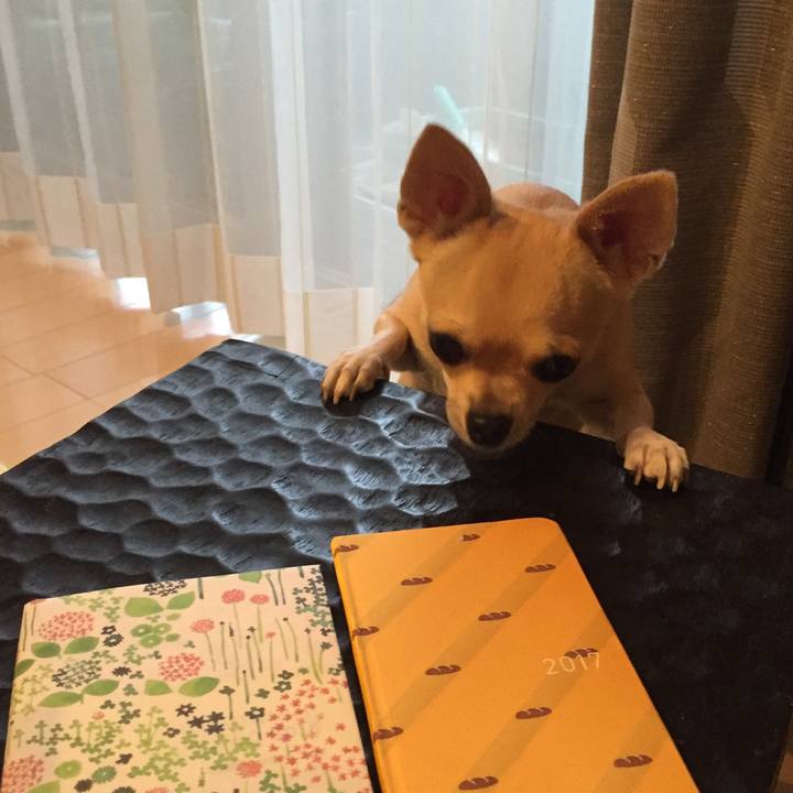 37b15970 6bc9 4db2 83d0 3072fd921dfb