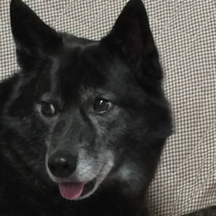 37b1d4c4 d0c0 406f bfa4 67702f14cb9d