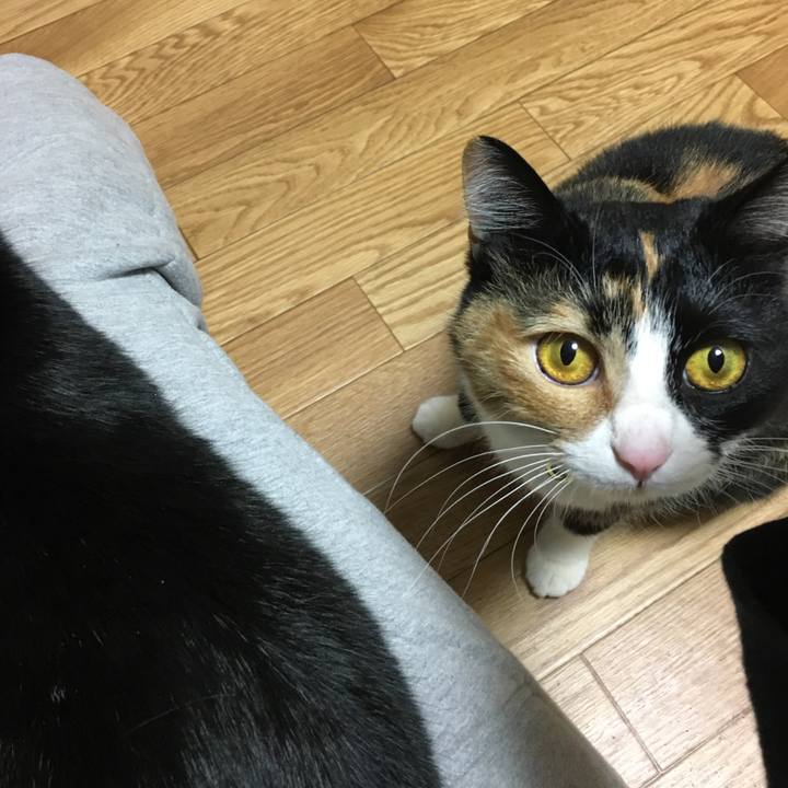 37b23495 a3b4 4965 992c 988f1ee362e3