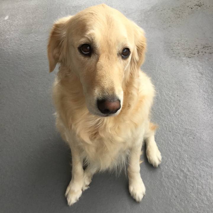 37b2c92c b456 4013 9972 20c38ef8e87f