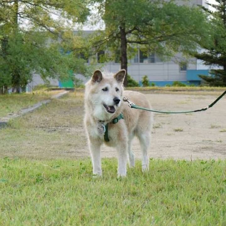 37b3fc26 1e79 4f2c b6a5 ac55b2f75a8f