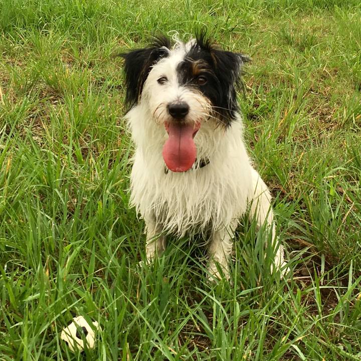 37b48647 1e59 429f 96fe cf50d03ca39b