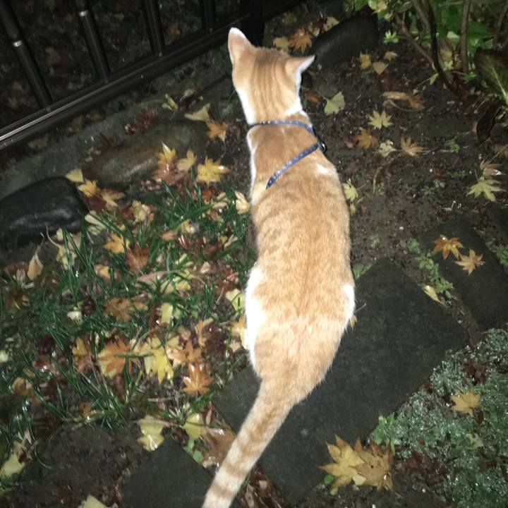 37b64d2c 3b02 45b1 bdba 603ec32d17d9