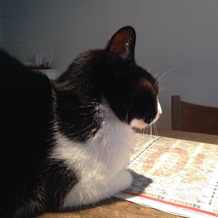 37b782c2 780f 47c9 a4cb 6a40fabdbf5a