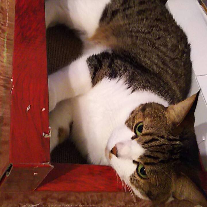 37b7d86d 104a 4ea2 b9e6 ad3217b02bae