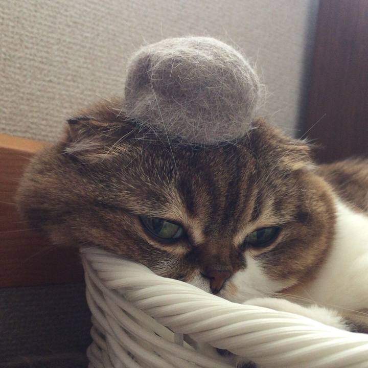 37b922c3 d60c 4d7d 948c 4701de944eff