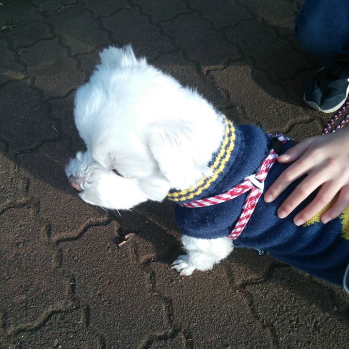 37b93663 2421 4f29 81fa 522807195d05