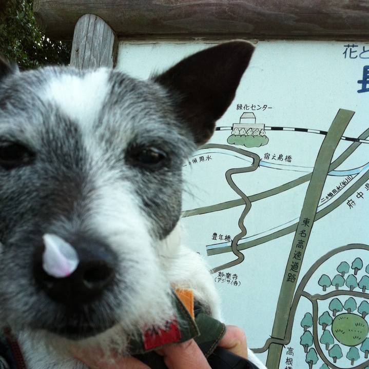 37b9aebb 6712 4ce7 a394 7ab45ed21e47