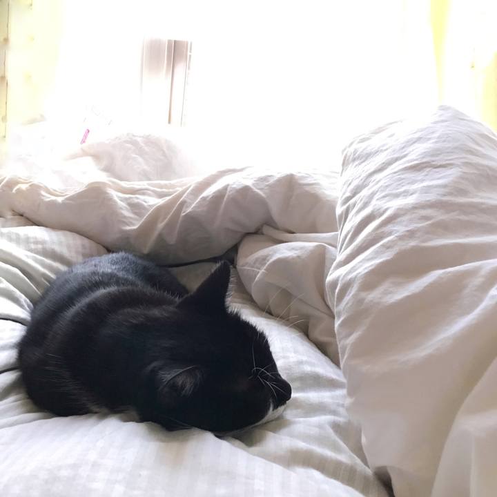 37b9bf8d 220c 4417 b5a3 dd3a487c001f