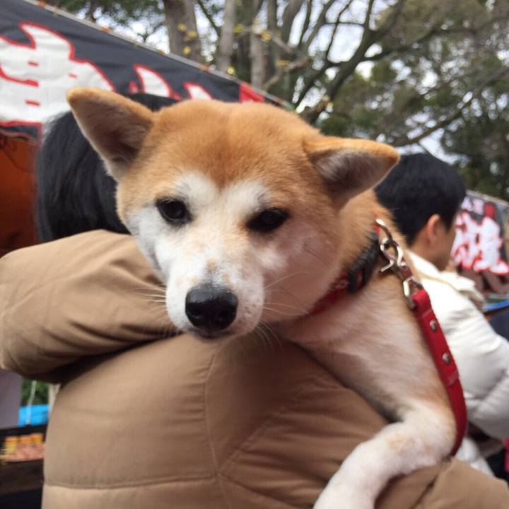 37b9fadc 563b 4a03 8408 520e928fee82