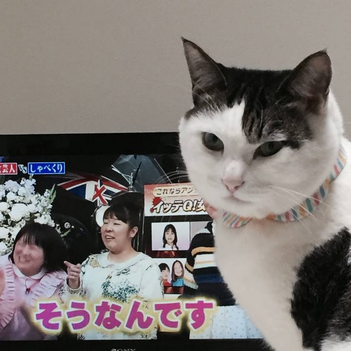 37bb29c3 e8d0 4ed2 9fbb beaf40f9a6b4