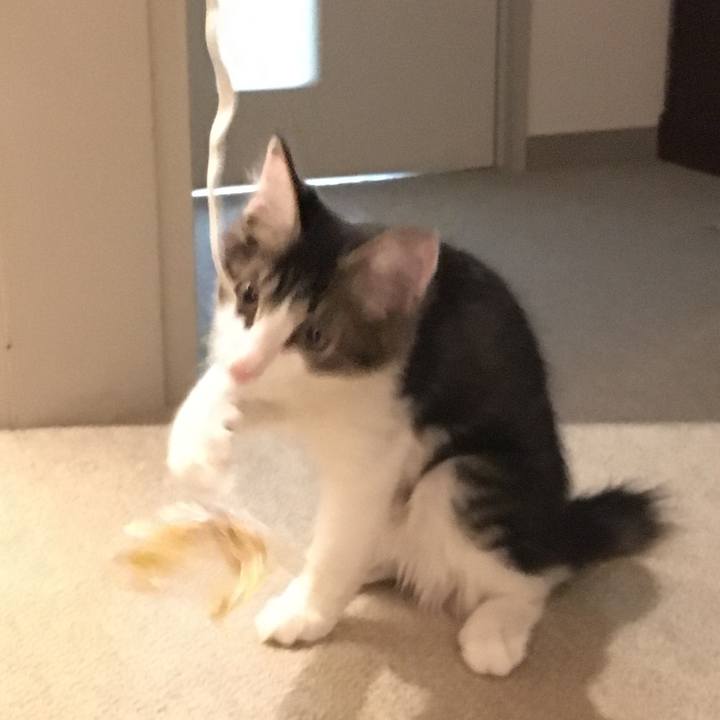 37bc5b8d 9eb9 4876 80fa 0b98947faddc