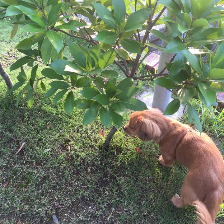 37bcd1e0 b0e9 48be 99c8 ef67b10e7362