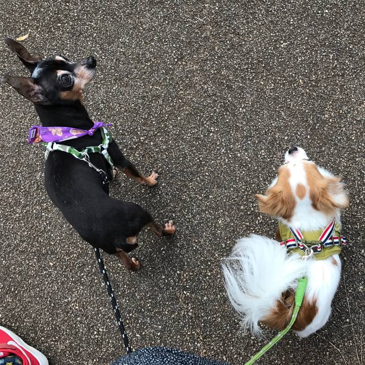 37bcde8d b0d1 439e 9749 3de09ce0a60a