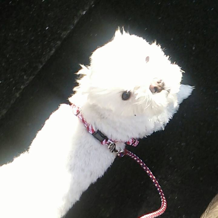 37bd482f e0a2 4cbc 8163 bfc9f8751992