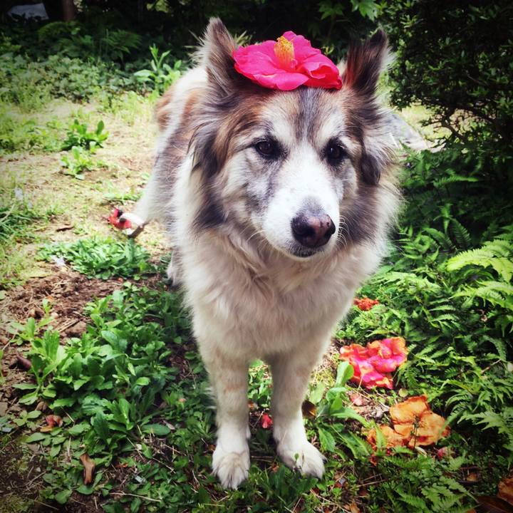 37bd7eb2 16cd 4e84 aee1 2928cbc54e2e