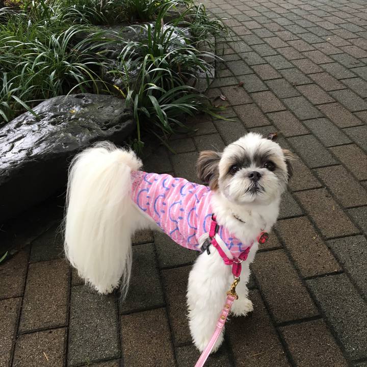 37bd9f87 9c1e 4d64 a037 8b96563c6f2a