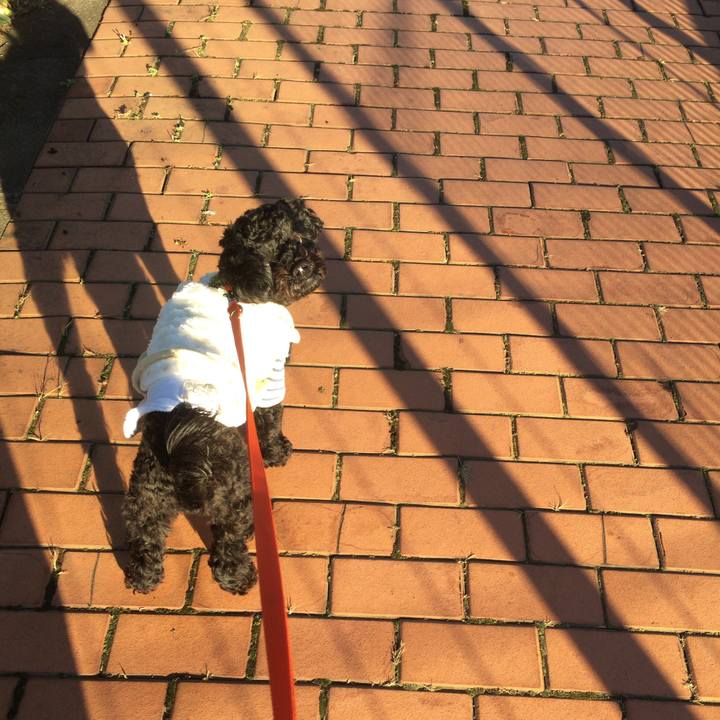 37bda7bf 7d57 4deb 91b6 4715acbeaf9d