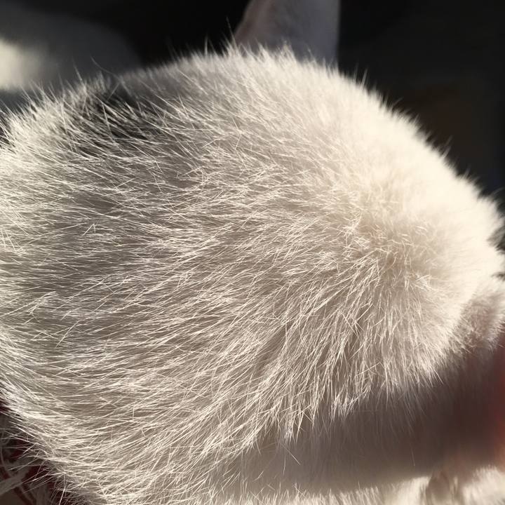 37bf9cc7 53e1 4179 8eec 7f6d554d9a44