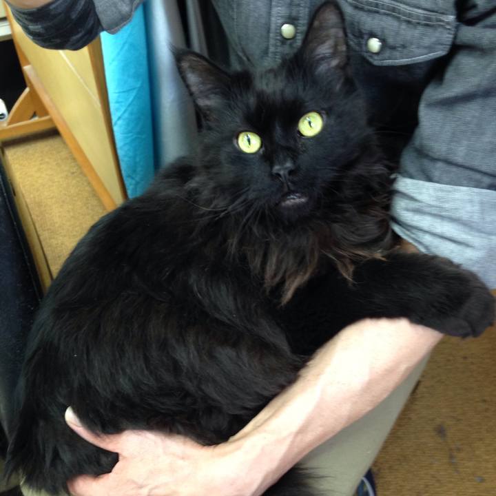 37c0051b 4e54 4f35 b6c1 1e3a2dba469e