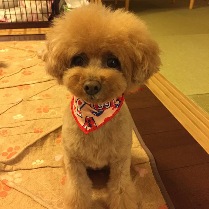 37c0119d e55b 4c56 8807 64c05388d157