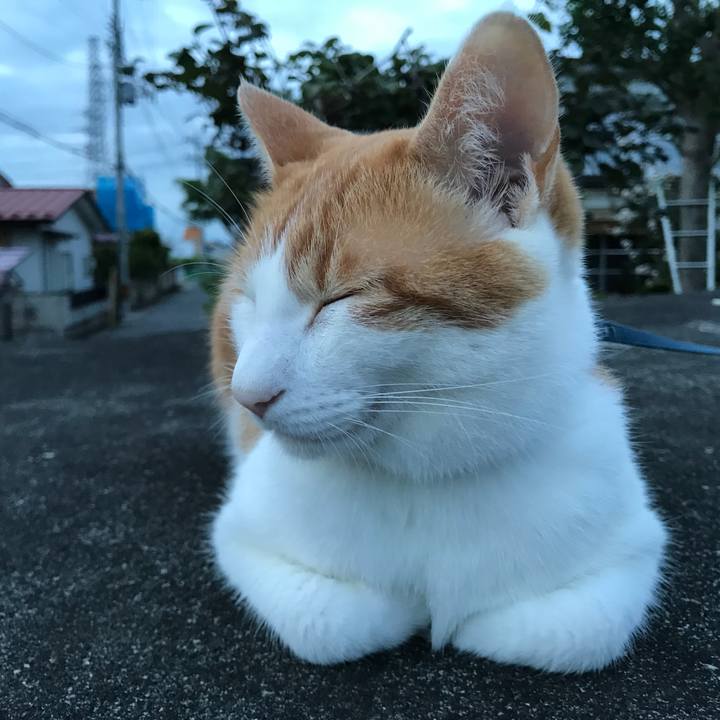 37c01472 889e 472a 9de6 a48d936d9091