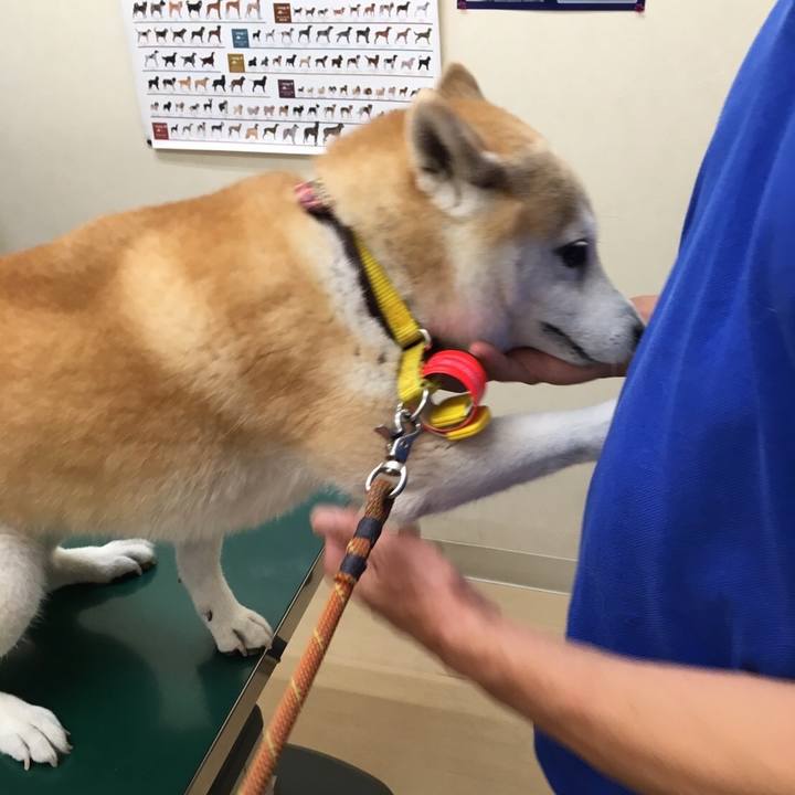 37c041fd 6405 41b7 932a 1c1814fd05d4