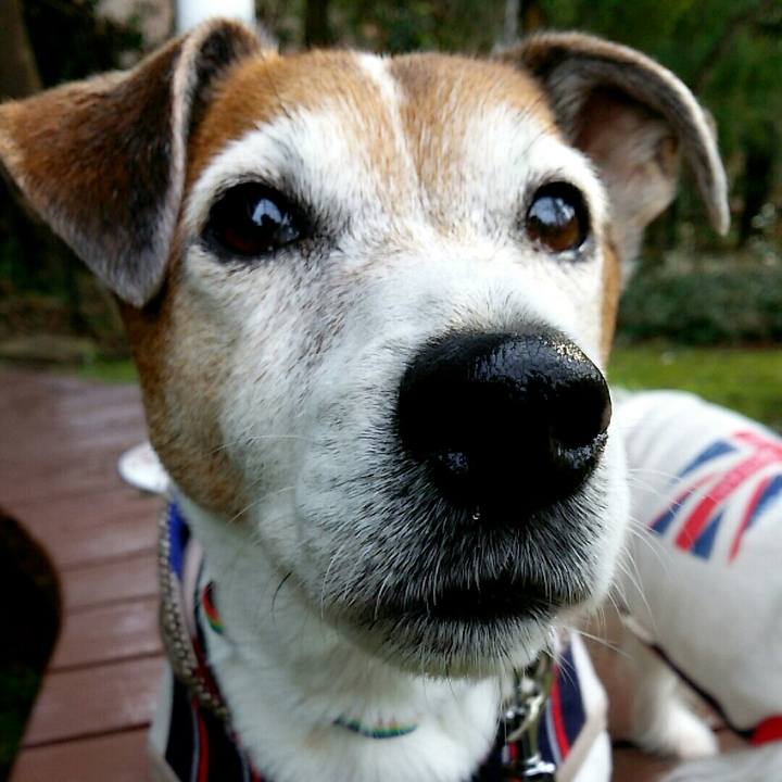 37c12db7 1ffd 47f4 9f64 f63d2ec23586