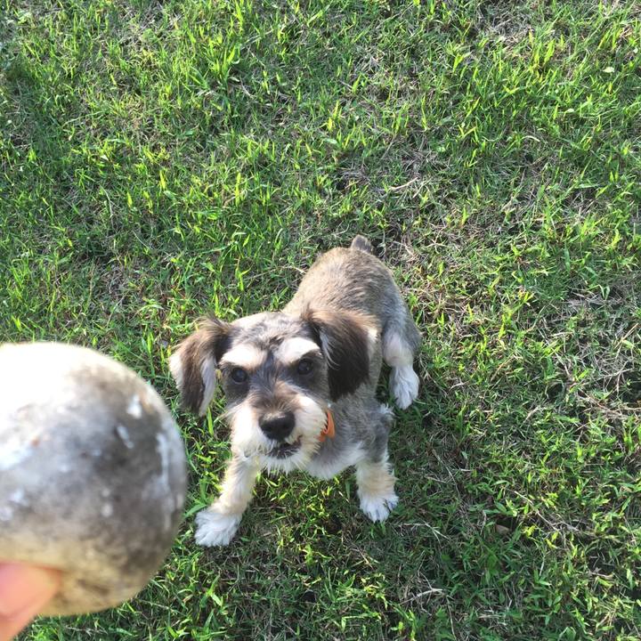 37c1789b 7b55 44c9 9a0c 8a2a22bf5b2e